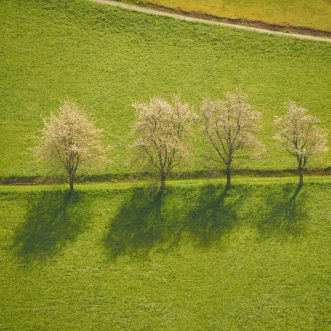 KNIKJE ~ Shades
